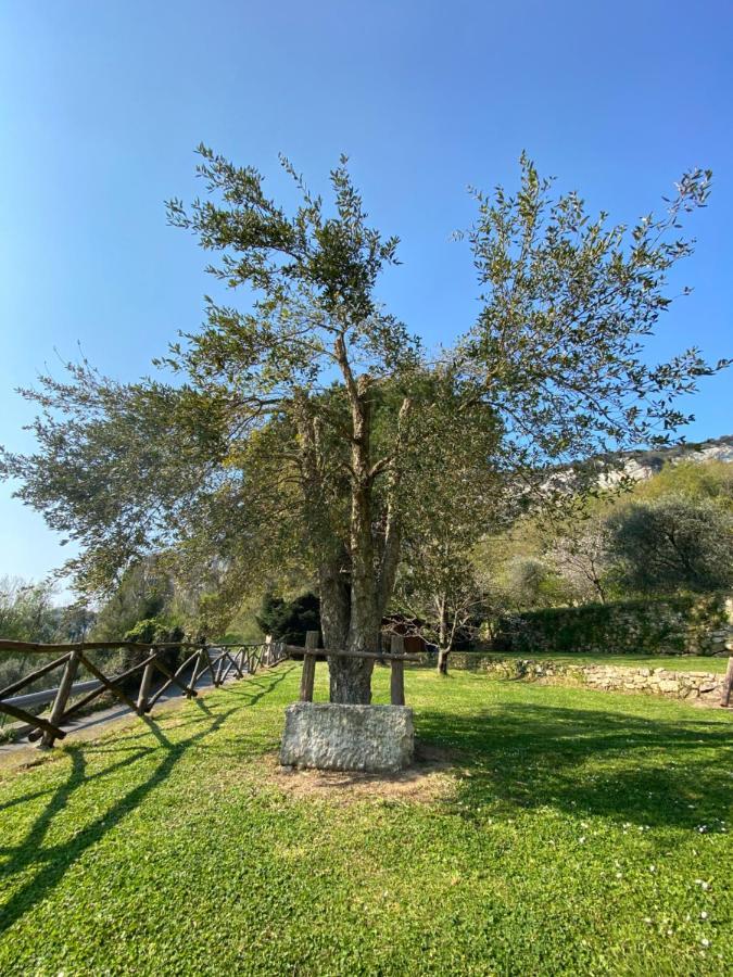 הוילה אורקו פלינו Casa Virginia מראה חיצוני תמונה